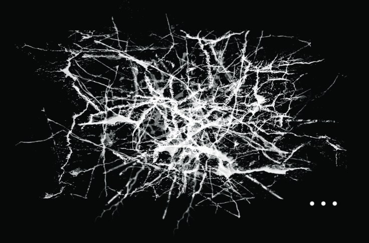 © Anna Isabella Sandberg 2014