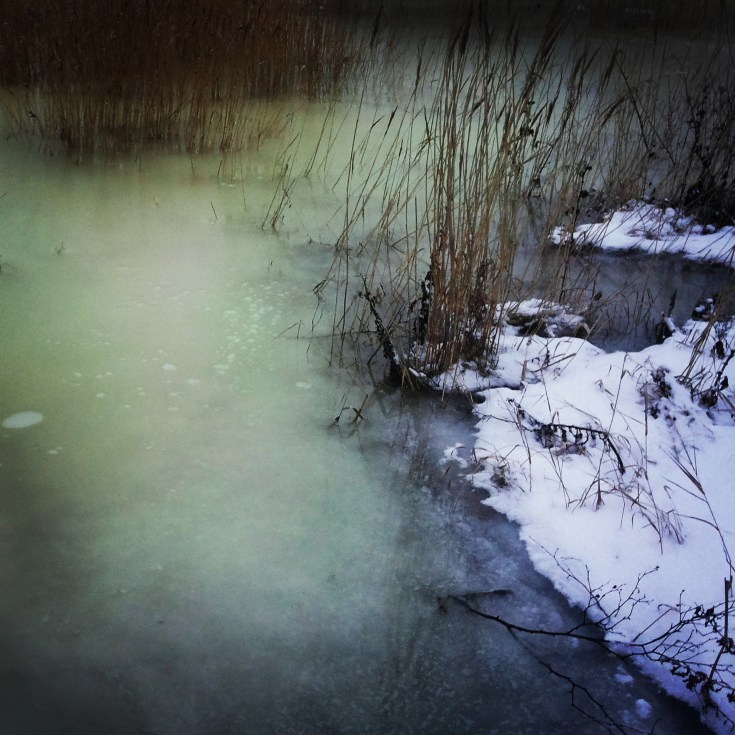 "Isen hos oss" Photo: Anna Isabella Sandberg 2015